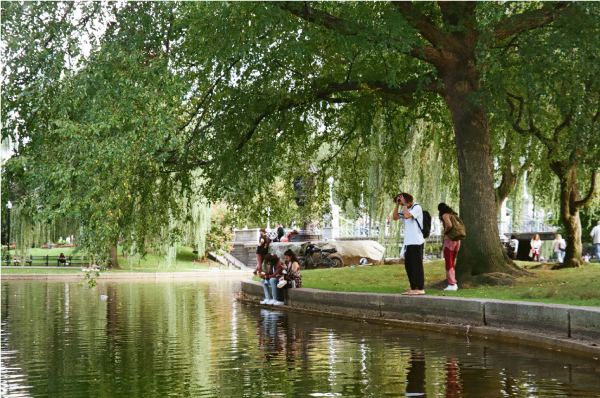 People sitting around a lake, generously shaded by a large willow tree hanging low.