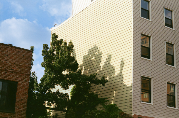 Shadow of a tree on a softly-lit yellow wood-paneled building.