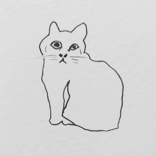 Amateur line illustration of a cat?